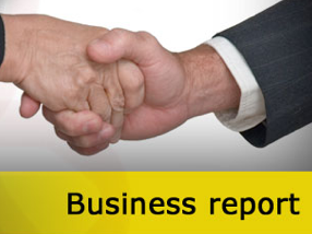 how to write a business report