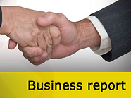 How to write professional business report