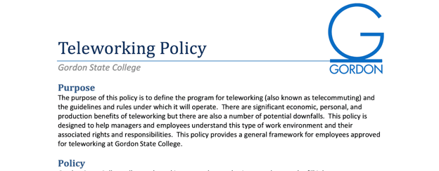 Business Policy Summary Example
