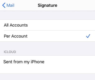 Professional Mobile Signature For Business Email