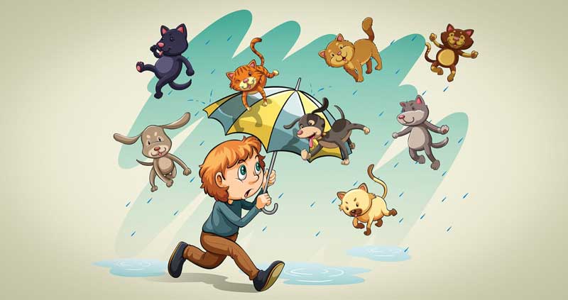 raining-cats-and-dogs-english-idioms